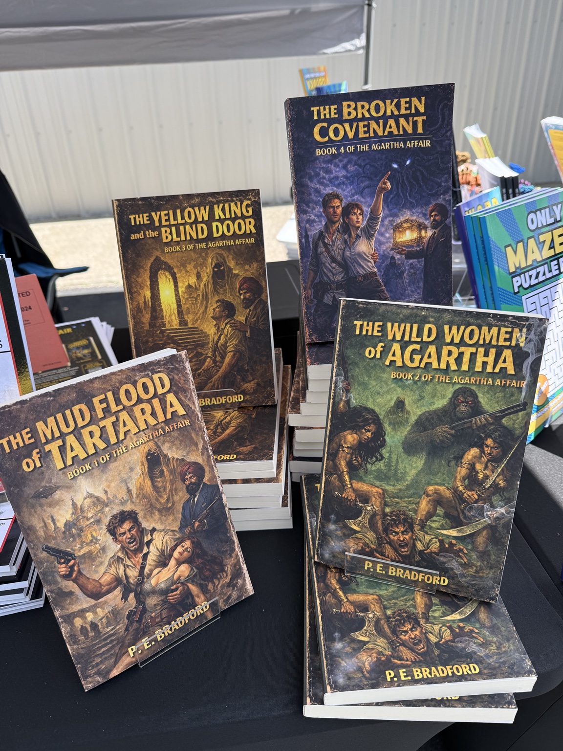 The Agartha Affair adventure books on display
